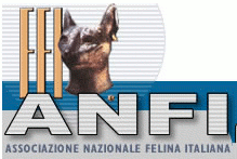 Logo ANFI