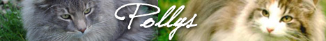 Polly's