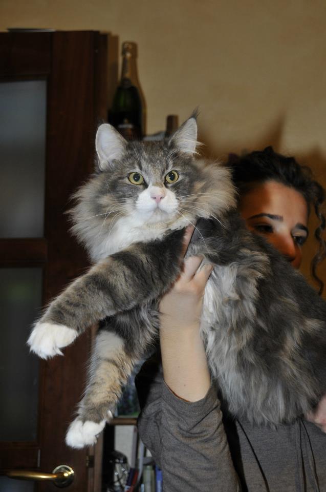 theodore8mesi